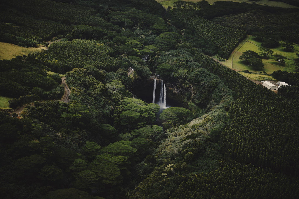 Three Days in Kauai