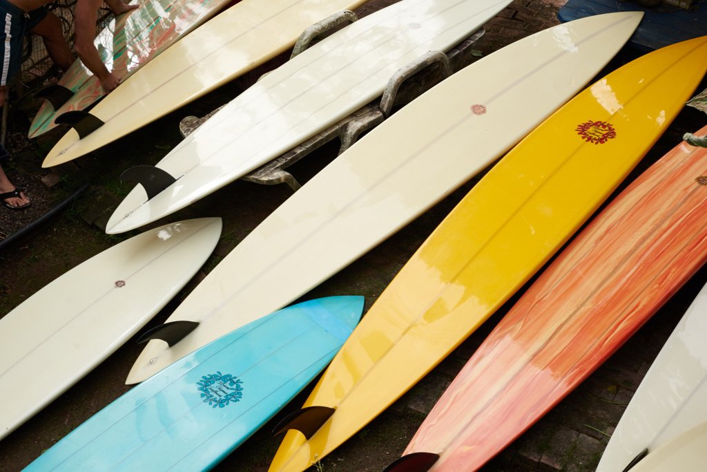 Owl Chapman Surfboards