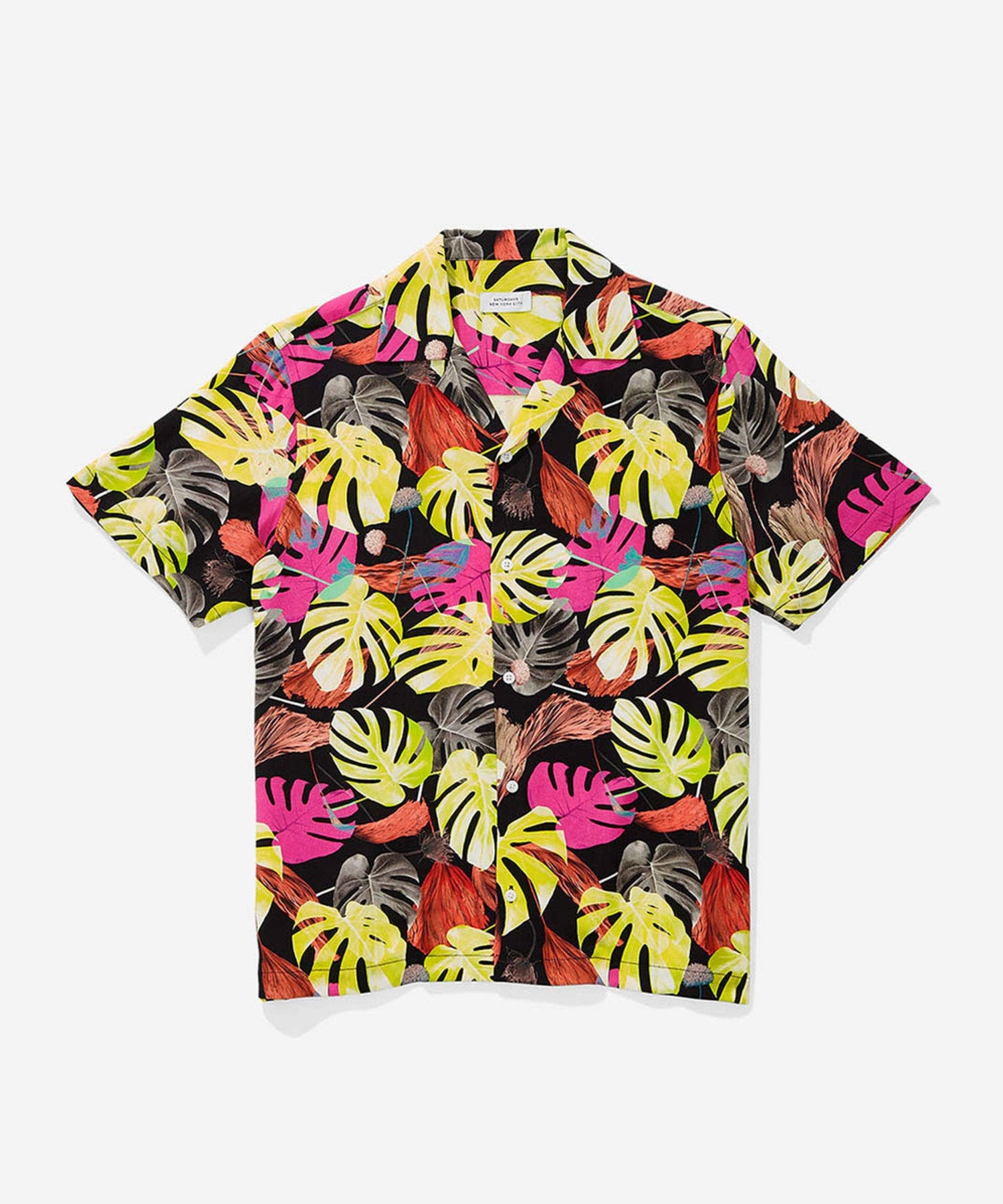 CANTY HYPER MONSTERA