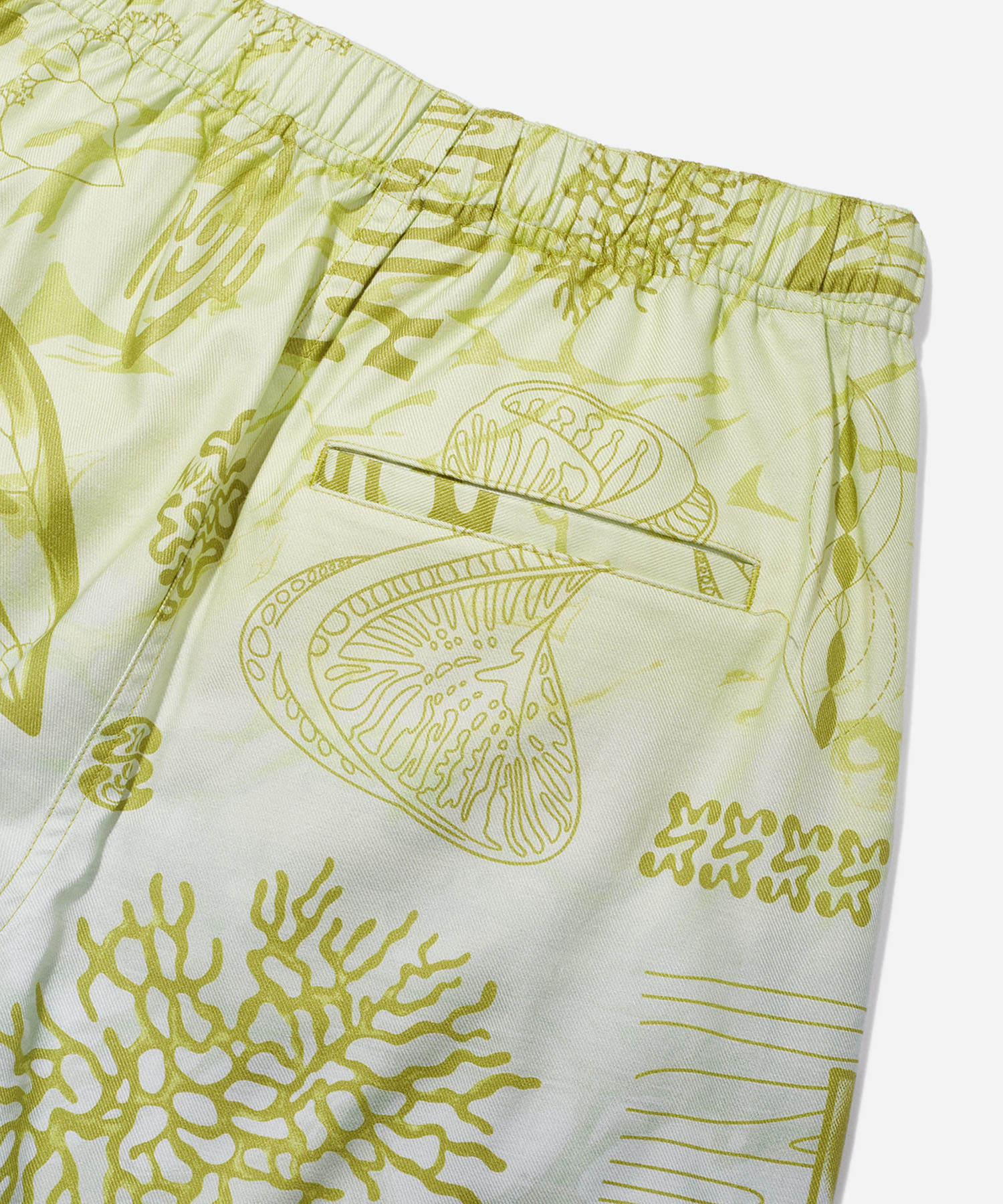 Aja Diatoms Boxer Short