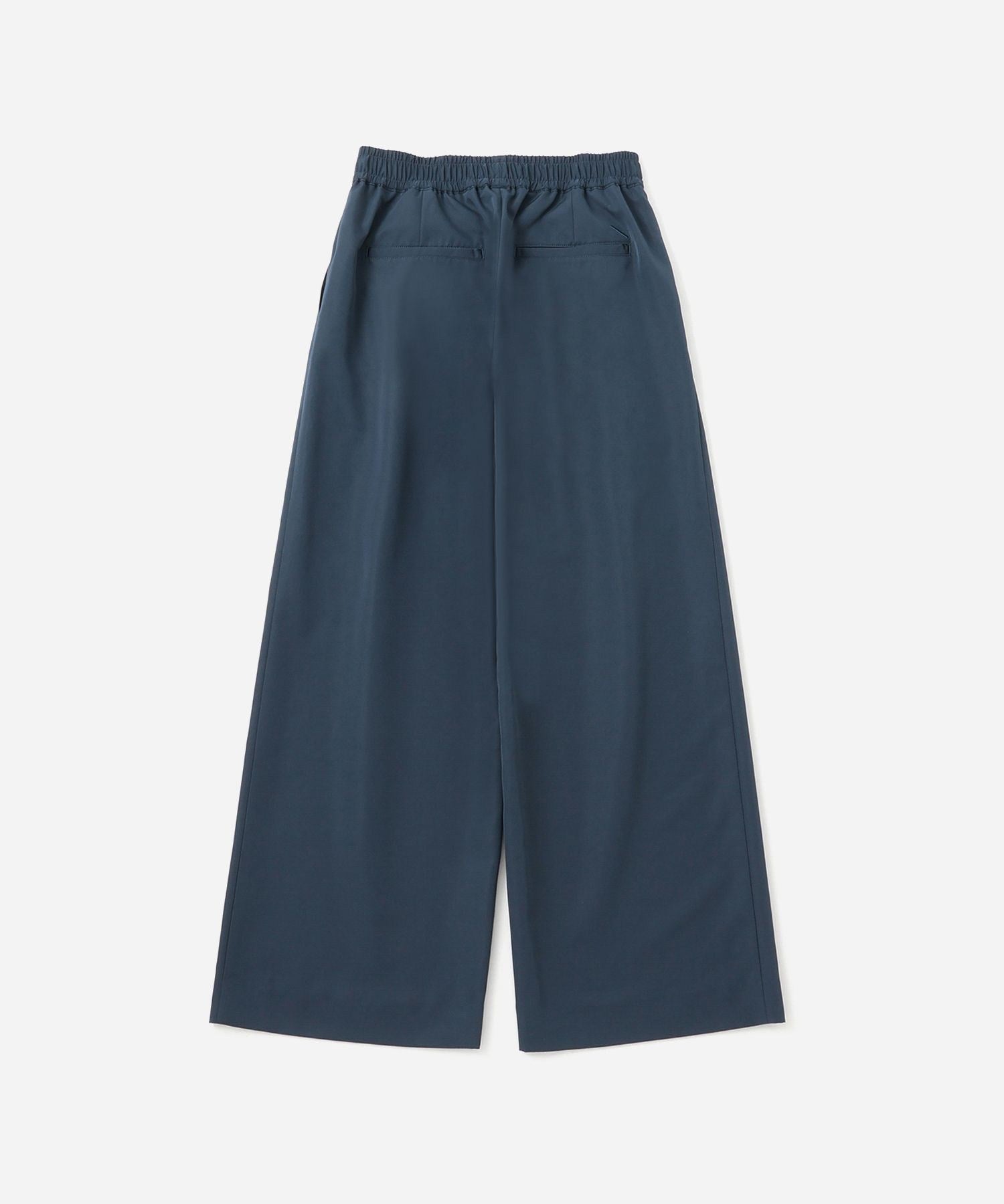 Palmetto Tuck Wide Pants
