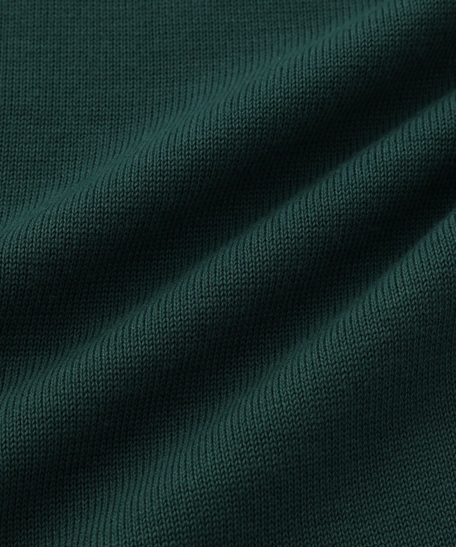 Palmetto Compact Knit Pant | WOMEN