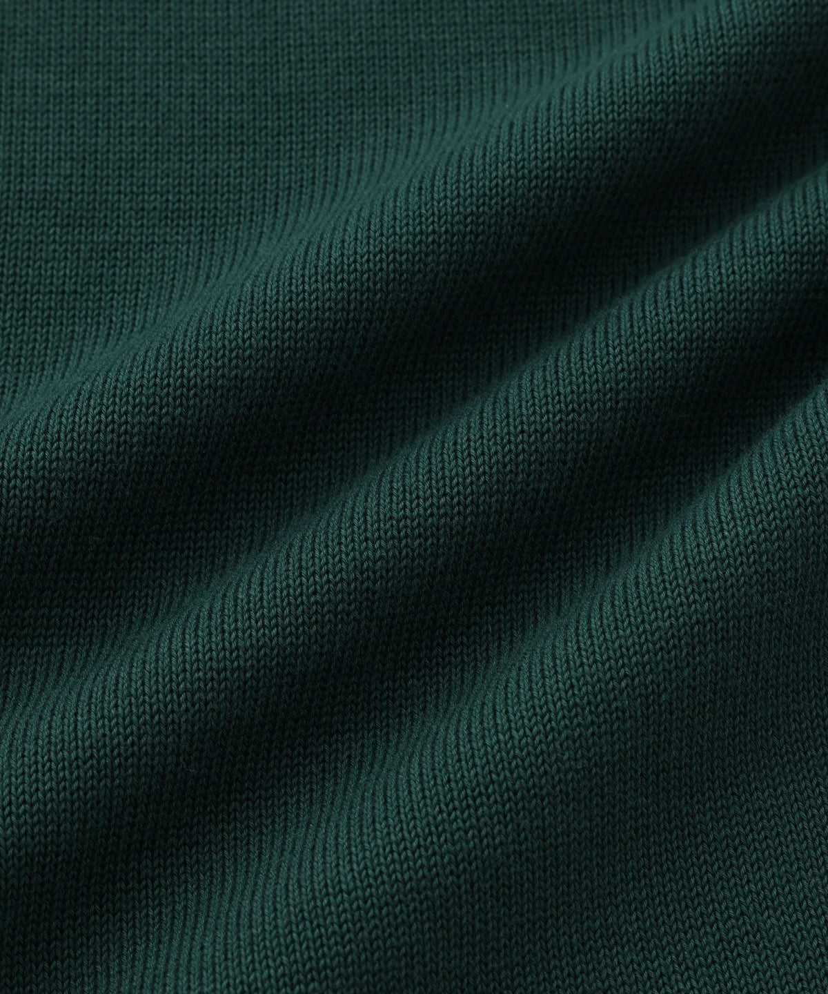 Palmetto Compact Knit Pant | WOMEN
