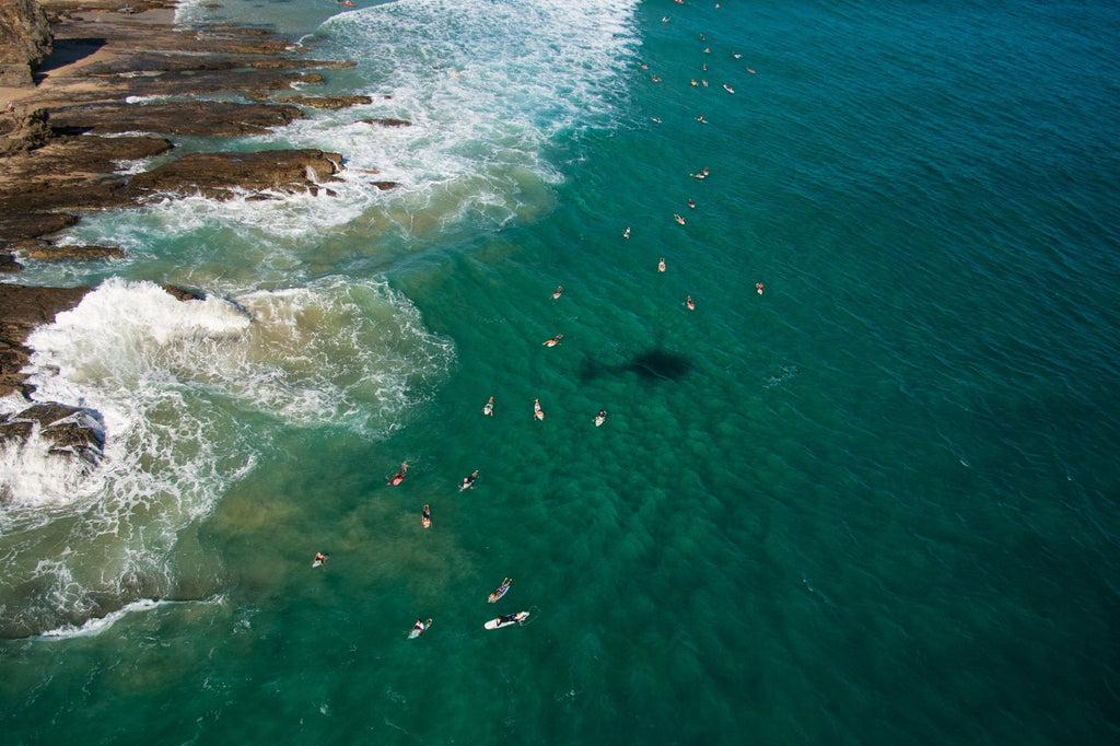 John Respondek Bird's Eye View