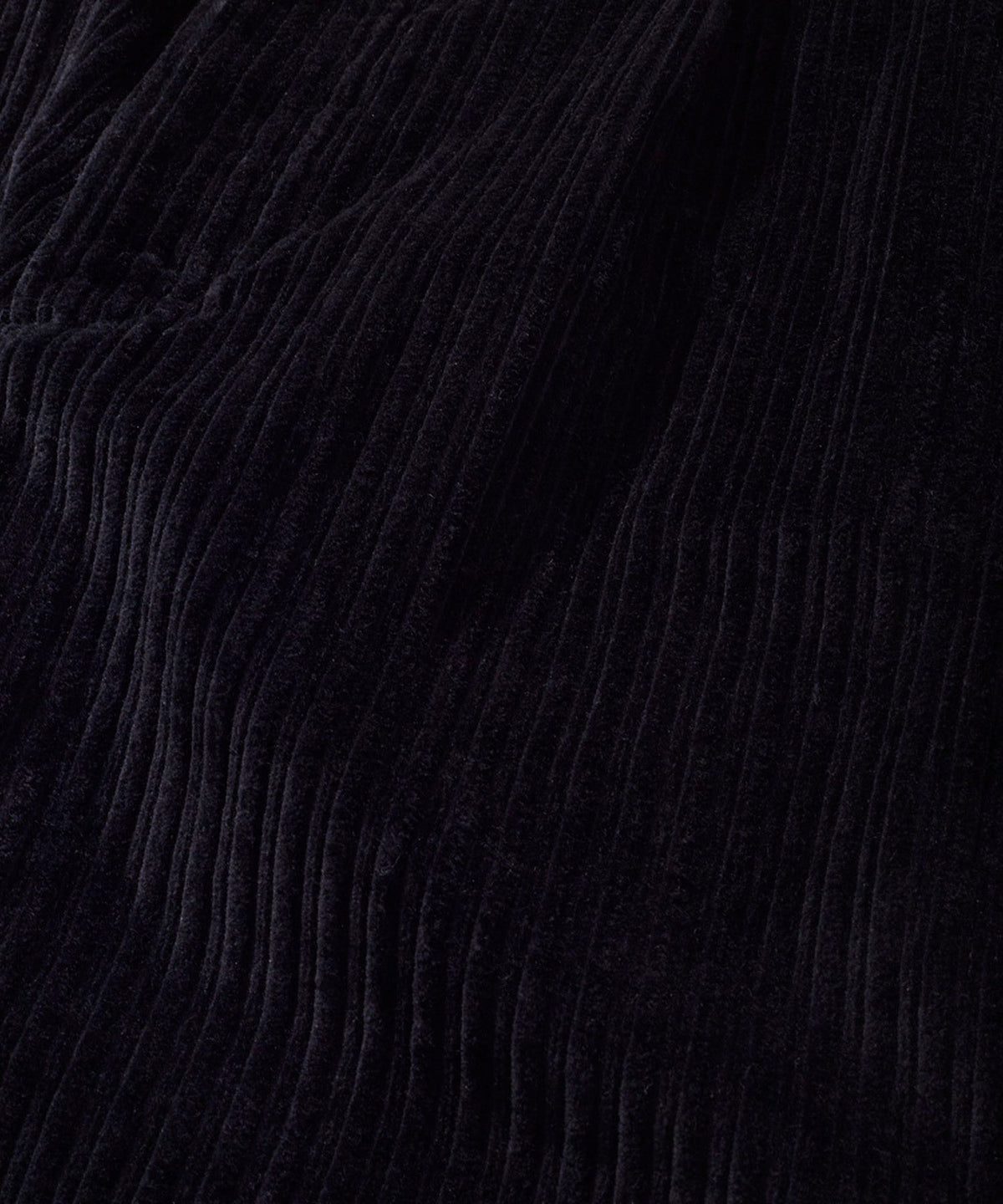 Benjamin Pant