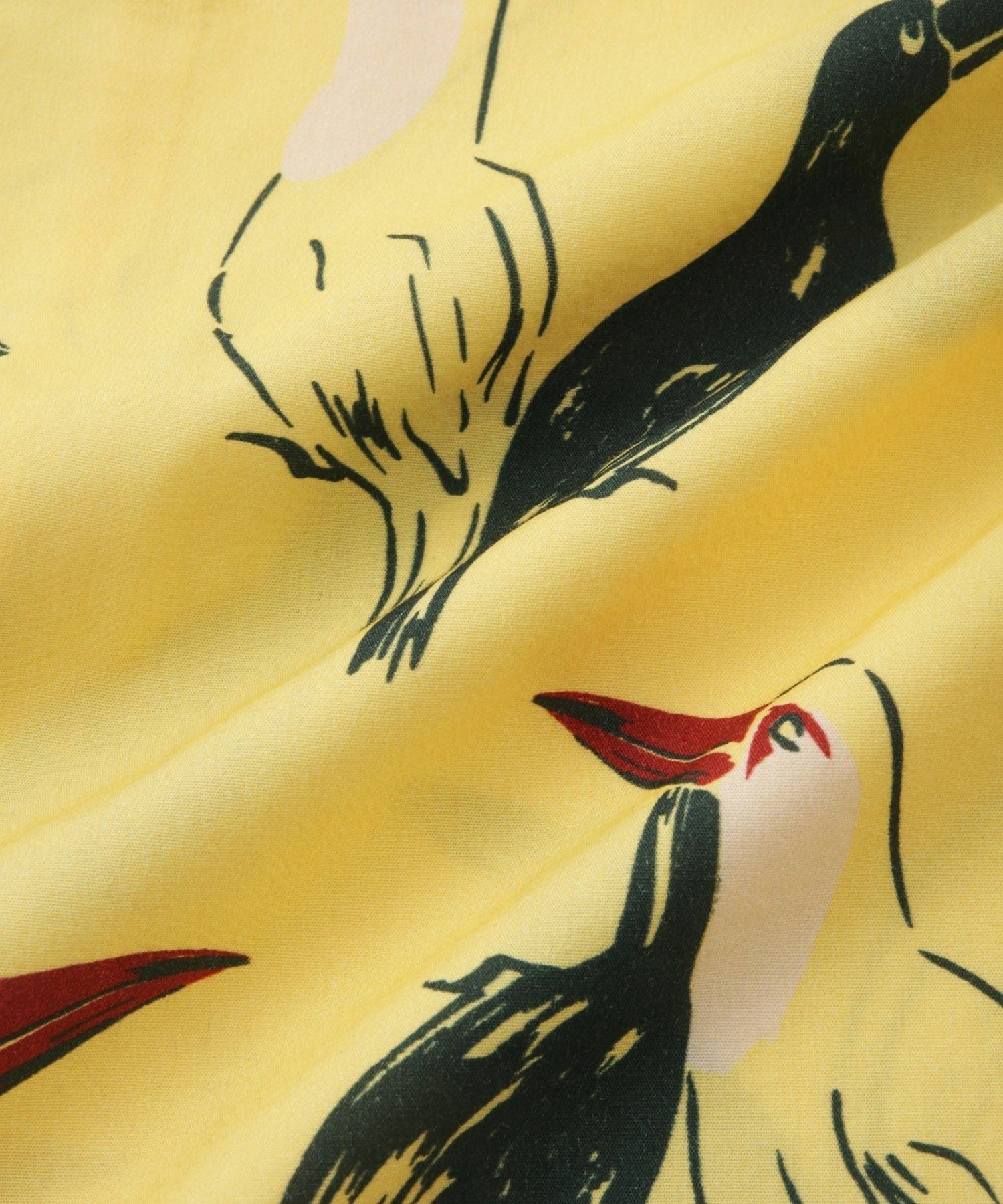 Canty Open Collar Bird Printed SS Shirt
