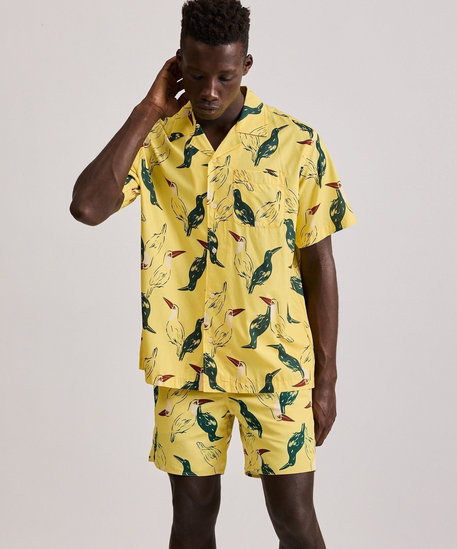 Canty Open Collar Bird Printed SS Shirt