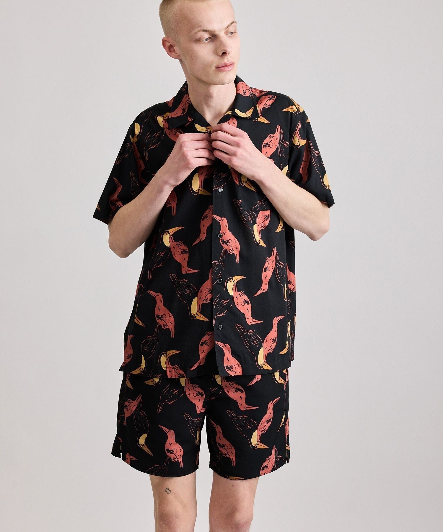 Canty Open Collar Bird Printed SS Shirt