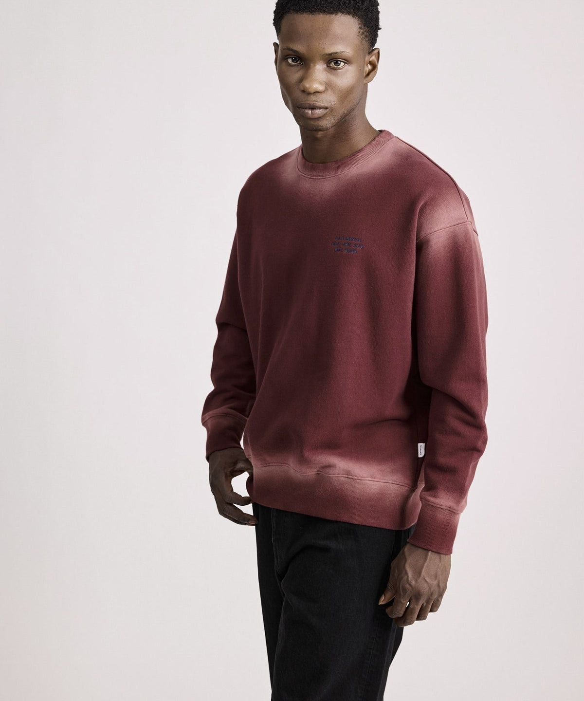 Ari Relaxed Faded Dye Sweatshirt