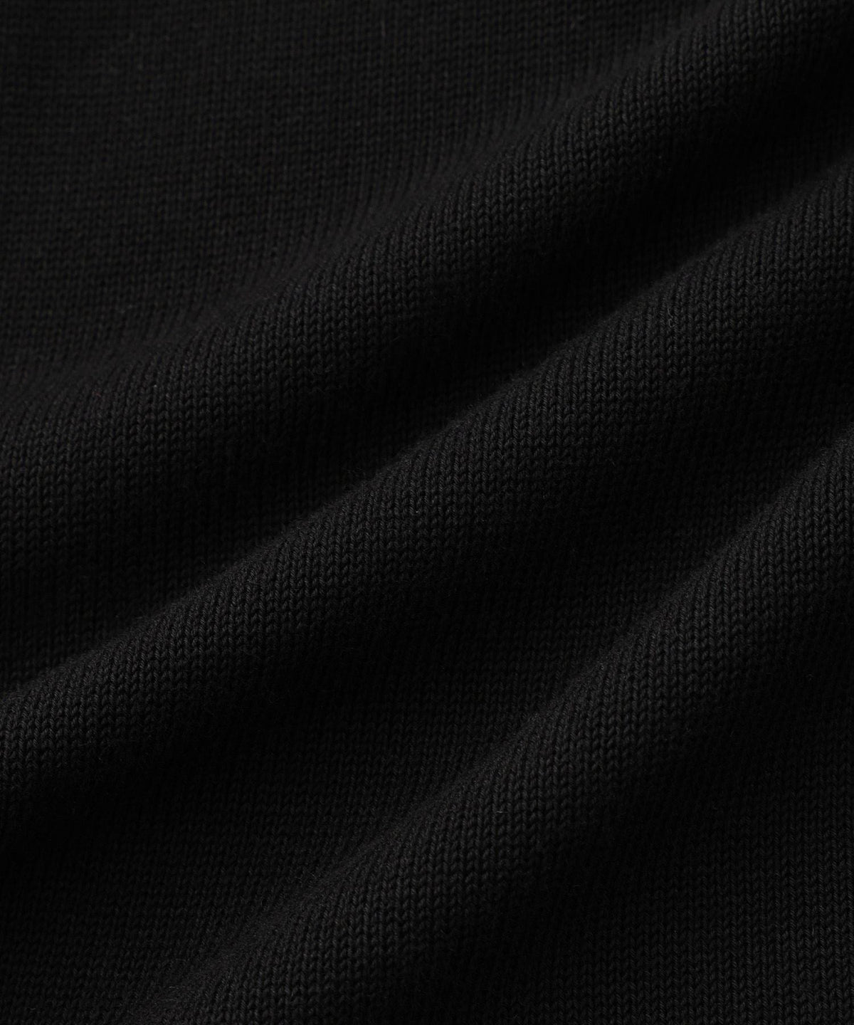Palmetto Compact Knit Pant | WOMEN